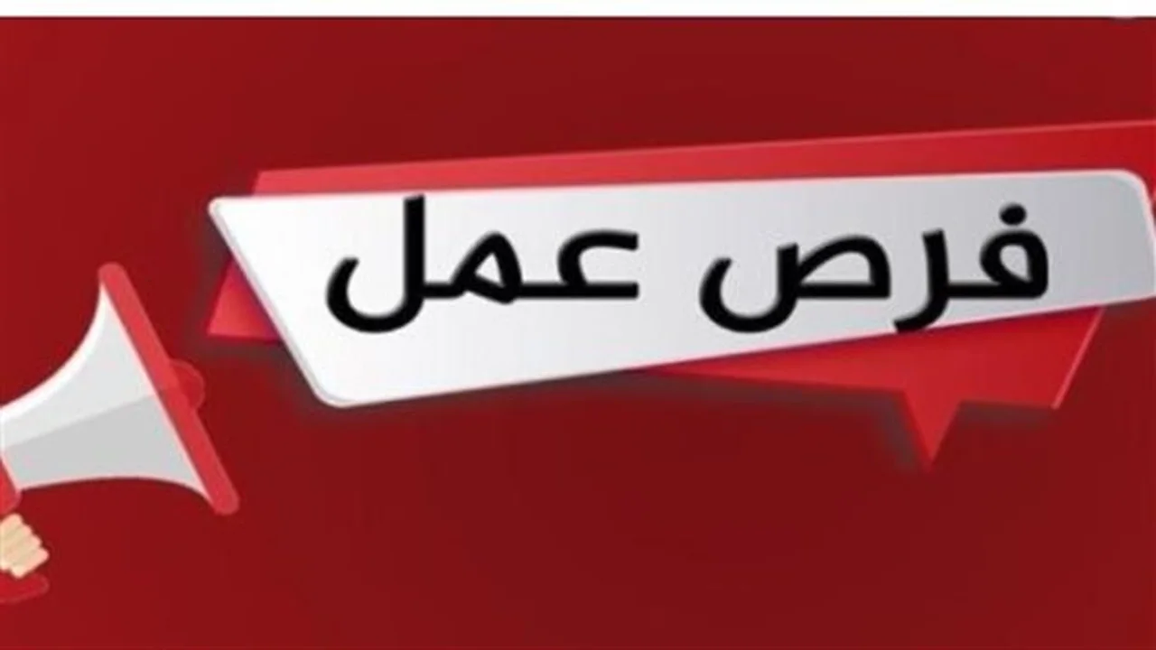 فرص عمل شاغرة.. تخصصات فنية وهندسية مطلوبة في 6 أكتوبر